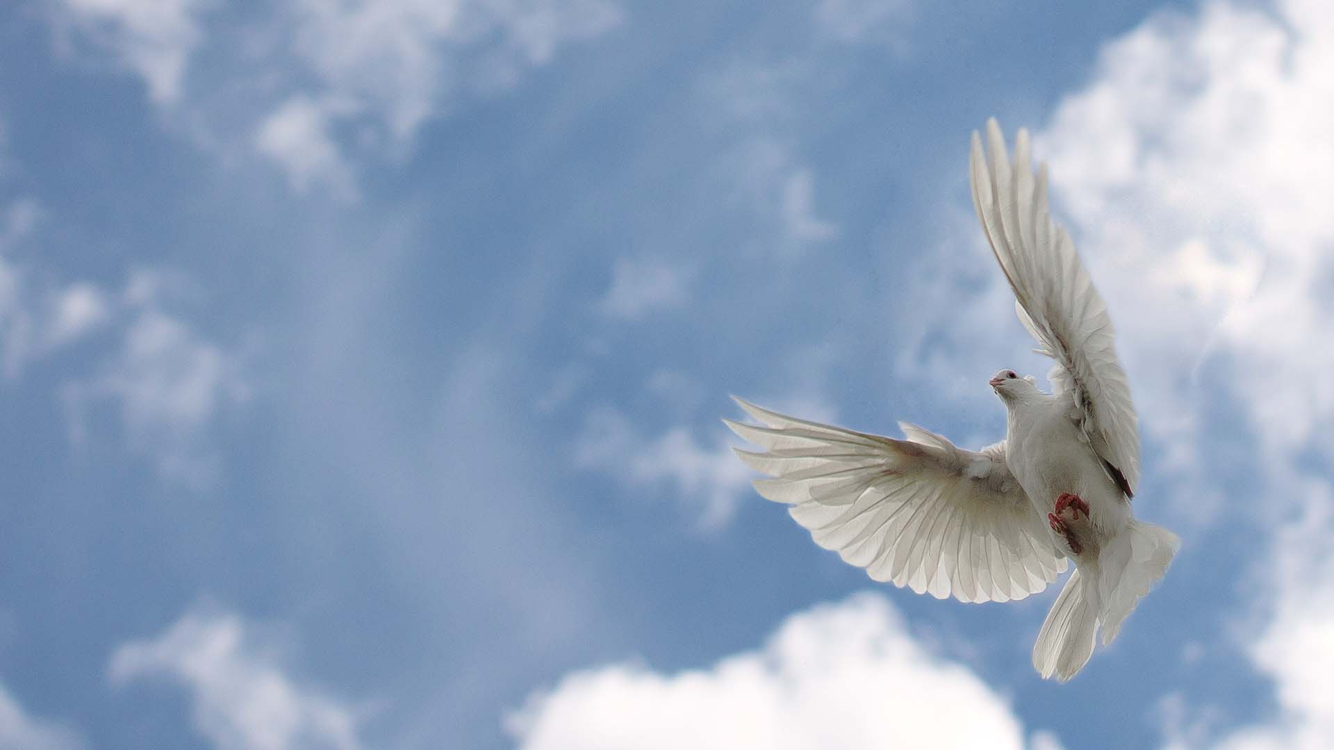 Featured image for “This is That Spoken by the Prophet Joel”